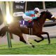 JRA武豊「警鐘」空しくジャパンC(G1)「外国馬ゼロ」で意義消失……日本競馬が「世界から否定された日」と、「的外れ」なJRA理事長の見解