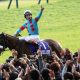 2019年JRA展望~アーモンドアイ・3歳クラシック・古馬戦線・角居調教師復活・外国人騎手・地方競馬も~