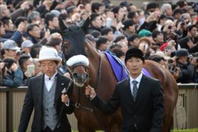 JRAアーモンドアイ「連覇濃厚」!? ドバイターフ（G1）はモハメド殿下次第!?