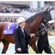 JRAルメール「サートゥルナーリアの実力」に疑問? 「落ち着いて」冷静態度にアーモンドアイとの違いが?