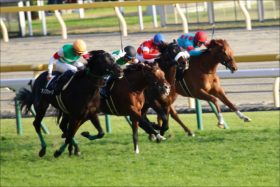 JRAクイーンC（G3）クロノジェネシス信頼!? 関係者情報から見出した「5頭」がアツい！