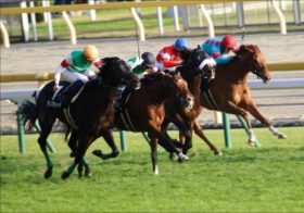 JRAディープインパクト産駒「サリオス半弟」がスタンバイ！ 2歳王者グレナディアガーズとともに中内田充厩舎を牽引する存在に？