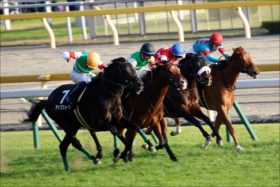 JRA東京新聞杯（G3）上がり馬インディチャンプの末脚はどこまで通用するのか？