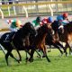 JRA武豊「警鐘」空しくジャパンC(G1)「外国馬ゼロ」で意義消失……日本競馬が「世界から否定された日」と、「的外れ」なJRA理事長の見解