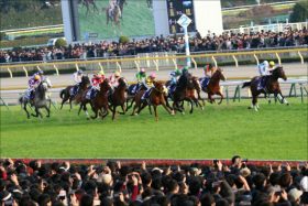 JRA東京新聞杯（G3）は「4点」で無問題!?「強力・現場情報」が導く「究極のゴリ押し馬」で勝負!!