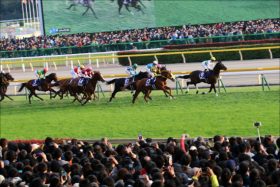 JRA高松宮記念（G1）ミスターメロディの鍵は「成長力」？ 気になる昨年の「あのレース」