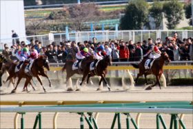 JRAチャンピオンズC（G1）戸崎圭太も「気楽」？「東京大王」サンライズノヴァの一撃はあるのか