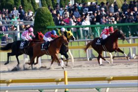 フェブラリーS（G1）「隠れ」マイル巧者サンライズソアに本格化の兆し！大逆転で “善戦マン”返上へ「大穴男」田辺裕信が伝説再現に燃える