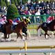 JRAフェブラリーS(G1)武豊より藤田菜七子よりアイツ!? 競馬女王桃井はるこの「平成最後のダート王」見立て