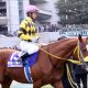 JRA京都記念（G2）ドレッドノータスに京都大賞典の激走再現!? 勝ち切れない馬同士の対戦に色気