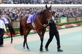 JRAサトノダイヤモンド引退発表!!　有馬記念で有終の美なるか？