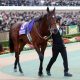 JRA京都記念(G2)マカヒキ「復調」情報!? 心強い同オーナー馬の復活