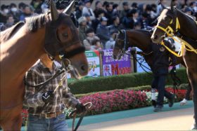 JRA阪神JF（G1）「廃止」提言!? 亀谷敬正氏「つまらないレース」有名評論家が語る驚愕の2歳女王戦「代替案」とは