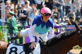 JRA朝日杯FS「ルメール劇場」閉幕へデムーロが燃える!? 牡馬代表アドマイヤマーズが「大化け」する理由