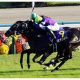 JRA日経賞（G2）武豊メイショウテッコンは○番手!? 「復活」期す大本命馬に「勝負」情報あり