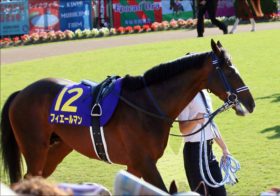 有馬記念（G1）C.ルメール「武豊超え」もフィエールマンは危険!? アーモンドアイ惨敗の悪夢…… 戦績から浮かび上がる大きな不安