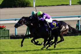 【AJCC（G2）展望】最強菊花賞馬フィエールマン出陣！ 中山巧者ひしめく豪華決戦！