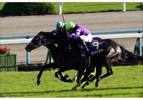 JRA天皇賞・春（G1）【1週前追い切り】エタリオウ「迷走」の予感!?「相変わらず真面目に走らない」試行錯誤も……