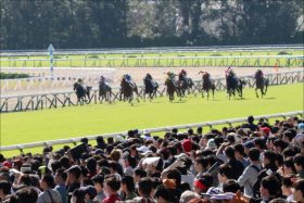 【京阪杯（G3）展望】前走からの巻き返しを狙うアレスバローズ！夏のスプリント重賞2連勝の実力を示せるか？