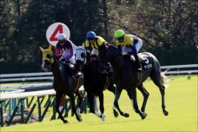 JRAきさらぎ賞（G3）アガラス「追い風」実績よりも「生まれ月」が大事！