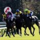 JRAマイルCS(G1)アエロリット不要の「小点数」勝負! 強力「現場ネタ」から導いた「超・勝負馬」とは
