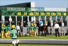 【秋華賞（G1）枠順確定】JRAダノンファンタジー、クロノジェネシスの枠は？　牝馬3冠最終戦の最重要ポイントが決定!!