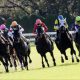 JRAマイルCS(G1)アエロリット不要の「小点数」勝負! 強力「現場ネタ」から導いた「超・勝負馬」とは