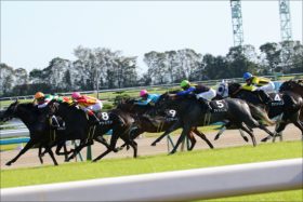 JRAきさらぎ賞（G3）は3連単2点勝負！　極上関係者情報から得た結論とは