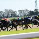 JRA皐月賞(G1)未完の大器ヴェロックスは「勝率50%」!? 川田将雅×中内田充正「リーディング・コンビ」による驚異の成績