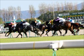 JRAきさらぎ賞（G3）「無敗」エングレーバーの真価。オルフェーヴルと”同じ道”も？