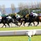 JRA菊花賞(G1)で思い出される名ステイヤー達。メジロマックイーン、ゴールドシップ、日本競馬史に残る長距離戦の王者達とその悲劇