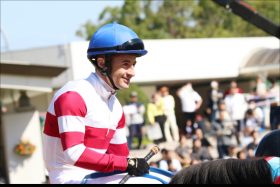 JRA・C.ルメールも惚れる「モーリス2世」レガトゥスいよいよデビュー！ 「雄大な馬体とパワフルな走り」継承も、完成度はすでに古馬の領域