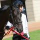 JRAマイルCS(G1)モレイラ→ムーアで完璧⁉ アエロリット最大の懸念は「相性」