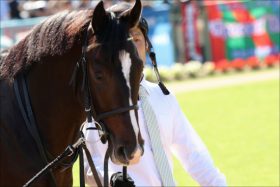 【福島記念（G3）展望】JRA 裏街道重賞も馬鹿にするなかれ。高配当の妙味。伝統のハンデ重賞は大混戦必死！