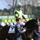 【京阪杯(G3)展望】前走からの巻き返しを狙うアレスバローズ!夏のスプリント重賞2連勝の実力を示せるか?