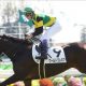 JRA「1/30」美浦日本人騎手「秋芝G1掲示板1人だけ」の惨状