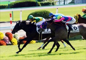 【若葉S展望】川田将雅ヴェロックスVS武豊ワールドプレミア！皐月賞へ向け期待の素質馬集結！