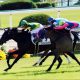 JRA皐月賞(G1)未完の大器ヴェロックスは「勝率50%」!? 川田将雅×中内田充正「リーディング・コンビ」による驚異の成績