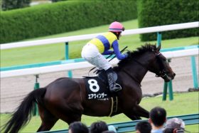 武豊「調教師」の力で開花!? エアウィンザー本格化、デビューで「ユタカ騎乗」だったあの馬たち