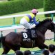 JRA「勝てない……」エアスピネルここは楽勝必須！ 函館記念（G3）で「課題」と「一族の呪縛」断ち切る？