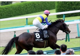 武豊「メッチャいい！」と惚れ込んだ大器が引退……兄エアスピネルと「初の兄弟対決」は、あと一歩で幻に