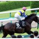 JRA ユニコーンS(G3)「“偽”ピンク帽」の横綱相撲に騒然!? 14番人気サヴァ「こんなに人気がない馬ではない」猛反発で2着激走!