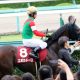 JRA菊花賞(G1)ブラストワンピースが「危険」な理由。過去データが示す「巨漢」とローテ、血統、そして「ステイゴールド包囲網」