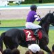 JRA菊花賞(G1)ブラストワンピースが「危険」な理由。過去データが示す「巨漢」とローテ、血統、そして「ステイゴールド包囲網」