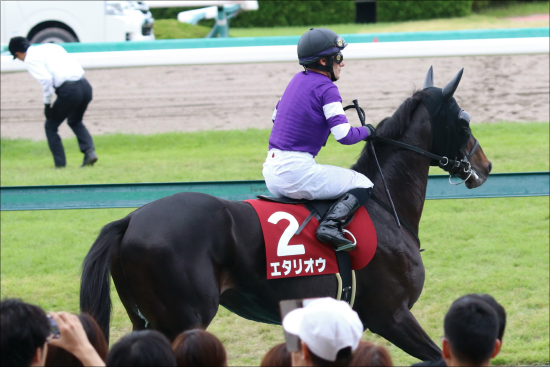 JRA京都大賞典（G2）「現場情報」厳選6点で高配当ゲット!? エタリオウより、あの「大穴」が背水の陣で大波乱？の画像2