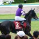 JRAスプリント王レッドファルクス復活に赤信号!?  代打・戸崎圭太騎手は意地を見せることができるか?