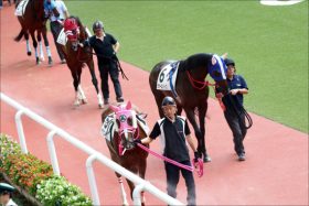 JRA「酒気帯び運転」角居調教師復帰で”深刻”なのは中竹厩舎？ 2019年リーディング首位発進も、その「実情」は……