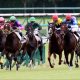 府中牝馬S(G2)はJRA「現場関係者情報」でウハウハ? ディアドラ・リスグラシューは「相手」まで?