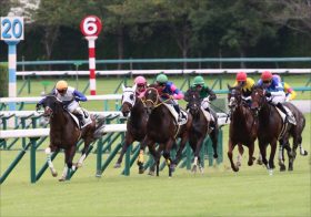 JRA「ありえない勝ち方」「こんな馬ではない」フィリーズレビュー（G2）鞍上を魅了する素質馬・ウィリンが挑む桜花賞への道
