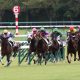 JRA皐月賞出走危機シャフリヤールは毎日杯(G3)が正念場!? 「偉大な兄」アルアインも歩んだ道、東上最終便でプラチナチケットを手にすることができるか